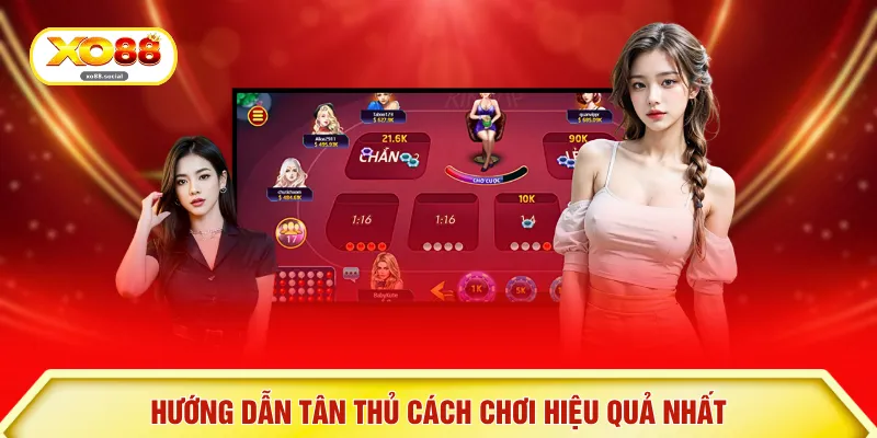 Hướng dẫn tân thủ cách chơi hiệu quả nhất