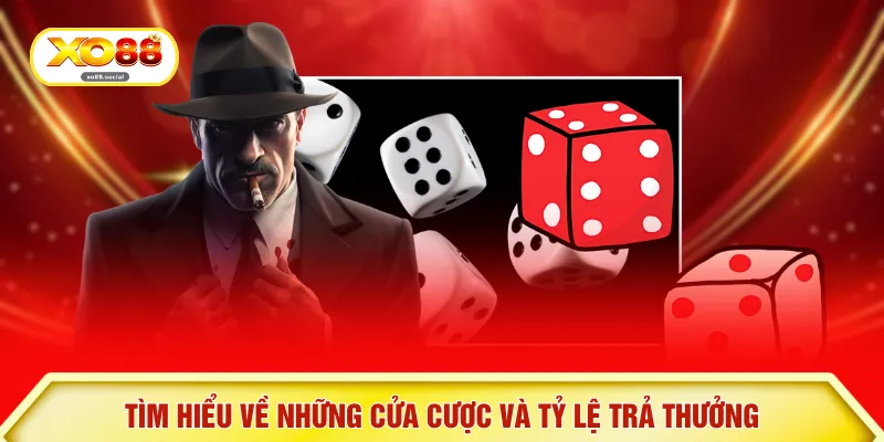 Tìm hiểu về những cửa cược và tỷ lệ trả thưởng