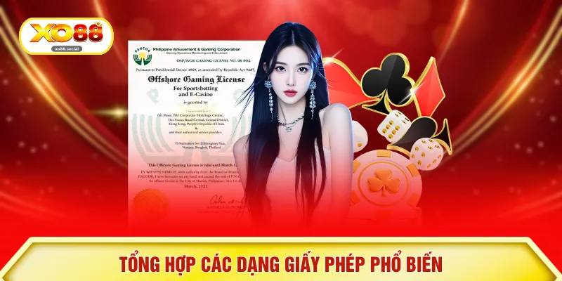 Tổng hợp các dạng giấy phép phổ biến